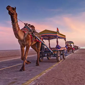 top private medical colleges in gujarat