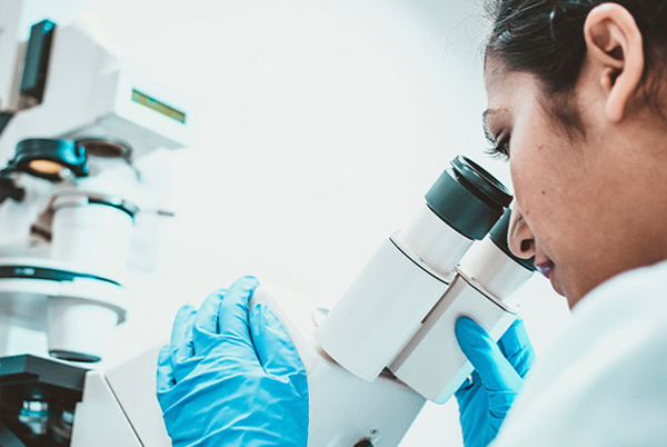 Diploma in Pathology and Bacteriology